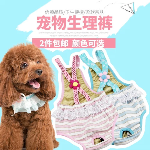 Пятничные подгузники плюшевая собака подгузник размер чая чайная чашка, санитарные собаки физиологические штаны