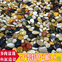 Rain flower stone rough stone natural pebble fish tank landscaping bottom stone pot decoration small stone paved soft stone