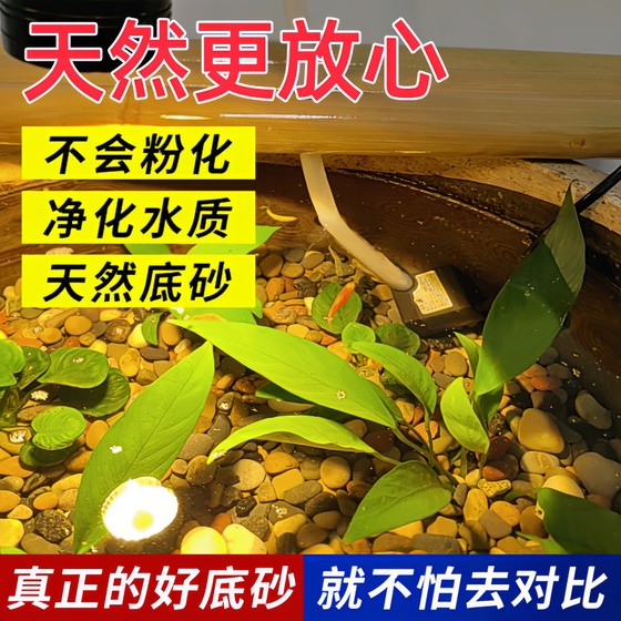 Natural river sand, stream sand, pebbles, native aquarium, fish tank, water plant tank, filtered pea stone, succulent pavement, small pebbles