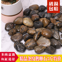 Pebble rain stone rough natural small stone fish tank flower pot cobblestone courtyard paving landscape decorative stone