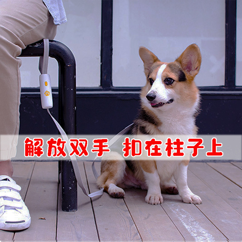 Dog traction rope Safety buckle elastic telescopic explosion-proof punching cover bracelet Stool Pillar Walk Dog Bolt Dog Rope Tied Tree