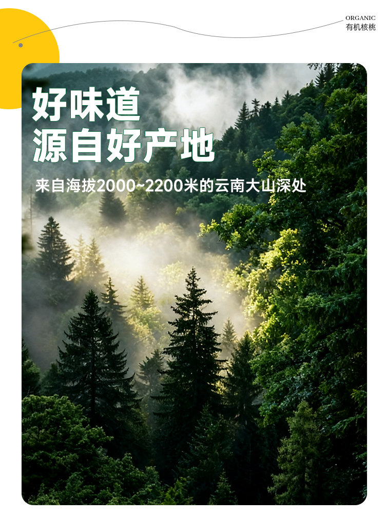 安享好物 安享S级核桃-栗滋羹云南 有机核桃 国标 