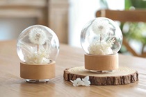 IO STUDIO forever flower Dandelion Music Box modern ornaments couple gifts with hand gifts home decorations