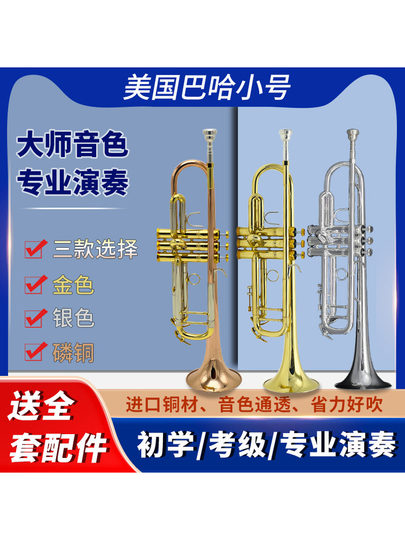 美国巴哈 LT197GS-98 磷铜 降B调 小号乐器 考级 演奏 正品