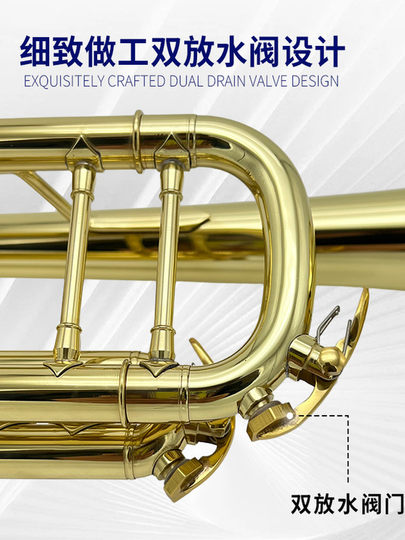 美国巴哈 LT197GS-98 磷铜 降B调 小号乐器 考级 演奏 正品