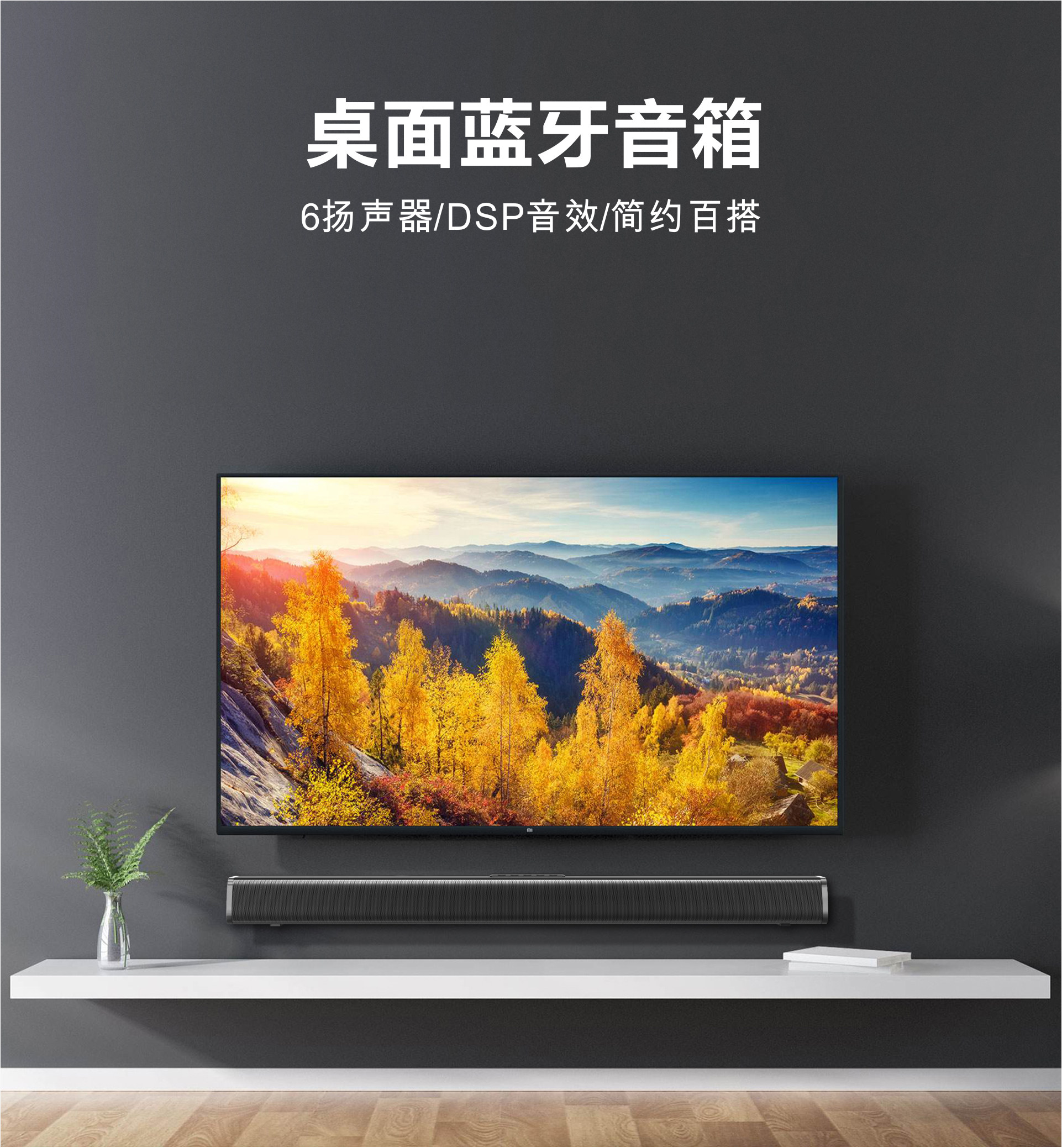 Саундбар настенный Bimbo Echo Wall Speaker 1 Flagship Edition
