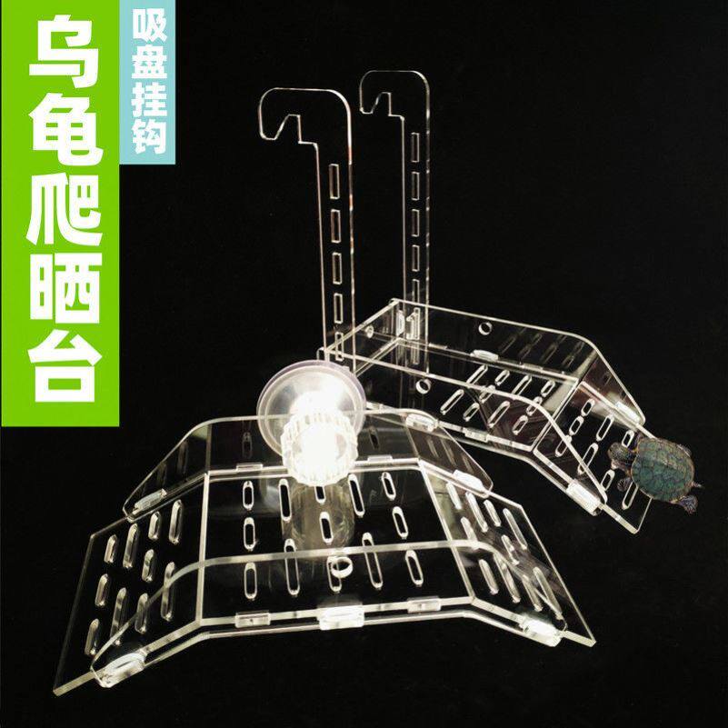 Turtle Sun Terrace Climbing Terrace High Water Level Climbing Terrace Floating Island Climbing Terrace Tortoise Terrace Deep Water Fish Tank Building View Rest Turtle Vat