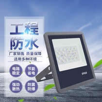 Factory direct supply LED lens floodlight IP66 outdoor floodlight European standard