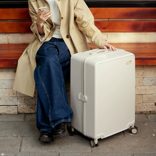 bagsmart Вместительный и большой плавный универсальный чемодан, 20 дюймов, 24 дюймов