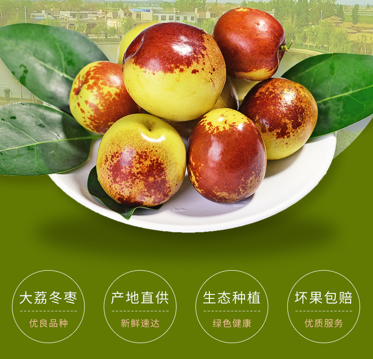国家地理标志产品 陕西大荔冬枣 5斤 现摘现发 图3