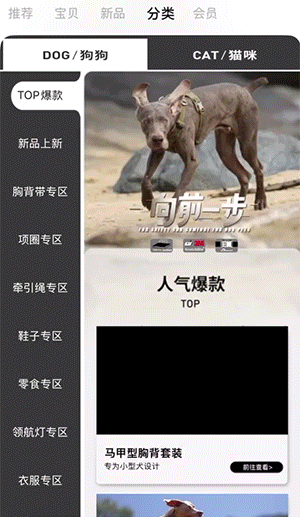 宠物行业案例-海报视频文字加下方飞入动图效果展示