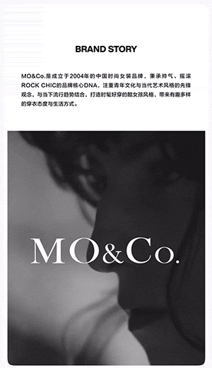 简约品牌宣传 品牌视频+遮罩图