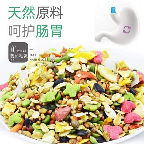 Новый век фруктов фруктов фруктовых хомя