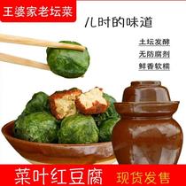 Wang Parenjia Tofu Dairy Farmhouse Handmade Homemade Red Tofu Milk Sichuan Termolina Bean Curd Red Oil Spicy and Spicy Leftover