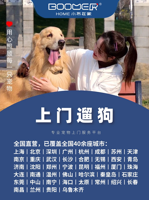 Xiaobu walks the dog at home in Shanghai, Beijing, Shenzhen, Hangzhou, Chengdu, Suzhou, Nanjing, Wuhan, Changsha