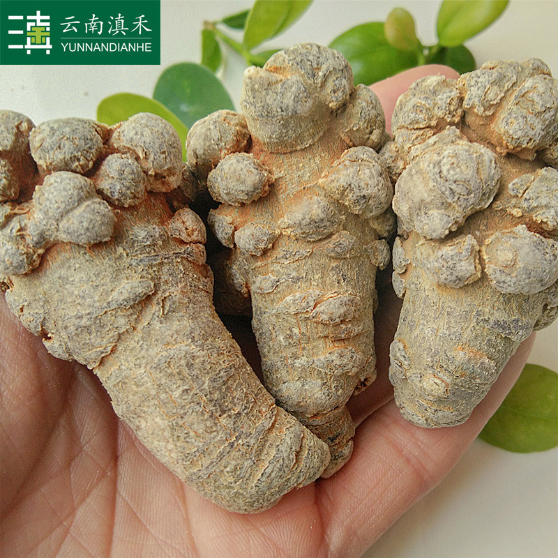 Dianhe Yunnan Wenshan notoginseng head 12 heads 18 heads 500g Tian Qichun Sanqi can be ground notoginseng powder