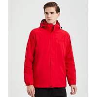 Чистый красный (та же модель мужчин и женщин)