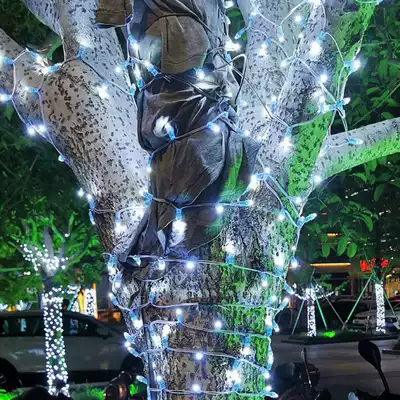 led outdoor waterproof Dew light bead tree decoration Mall street lighting starry light string flashing light engineering Light