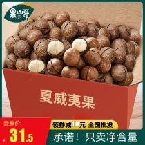 New Goods Hawaii Fruit Whole Box 5 Catty Cream Taste Bulk Original Taste Nuts 3 Catty Pregnant Women Dried Fruits Snack Fried Stock 10 Catty