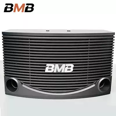 Japan imported original CSN-455 home KTV audio 10 inch home karaoke singing Conference wall speaker