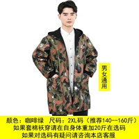 Кофе зеленый 2xl [Рекомендуется 141-160 Catties]