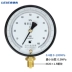 Đồng hồ đo áp suất chính xác Relda YB-150 0,4 cấp/0,25 cấp 0-1,6MPa Máy đo chân không khí-lỏng có độ chính xác cao máy dò kim loại cao cấp Thiết bị kiểm tra an toàn