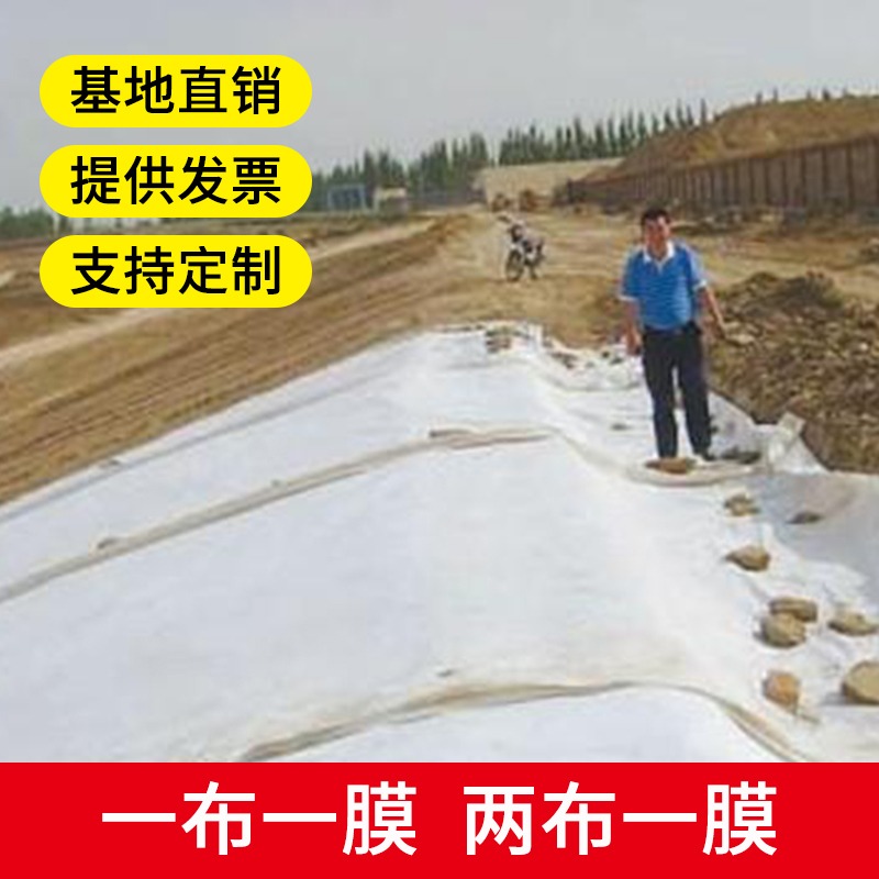 Composite geomembrane two cloth of geological cloth waterproof anti-seepage film fish pond fish pond