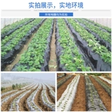 Черная -и -белая гимнопусная пленка домохозяйственная сельскохозяйственная водонепроницаем