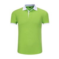 Зеленый белый -Коллар