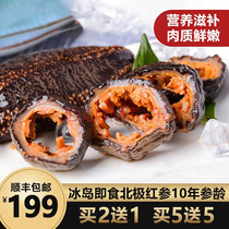 Tiexian Island Iceland imported sea cucumber ready-to-eat non-dry fresh Arctic ginseng natural growth Non-cultured sea cucumber 500g