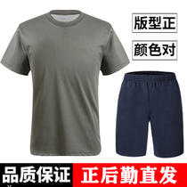 Fitness Suit Short Sleeve Summer Original Factory Half Sleeve Physical Fitness Training Conserved 3543 Shorts Speed Dry Pants Suit