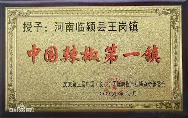 河南临颍王岗镇辣椒种植基地直供的LOGO