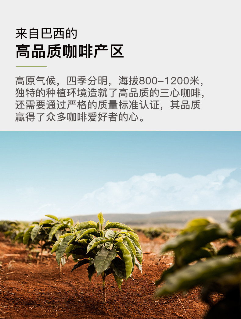 巴西进口 三心冻干速溶黑咖啡 100g*2瓶 巴西咖啡协会认证 图5