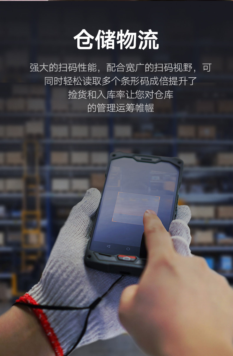 Страница сведений L2 - с головой сканирования -790_16.jpg