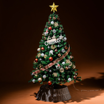 Christmas tree 2024 new Christmas tree home Christmas decoration ins style high-end DIY small Christmas tree ornaments