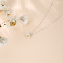 Little Daisy necklace female 925 sterling silver light luxury niche design sense chrysanthemum temperament simple chain accessories choker