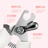 Кошка с ногтевым галстуком щенком, кошками, ножом ножом, кошкой, ножницами, шлифовальными доспехами, плюшевыми кошками продуктами