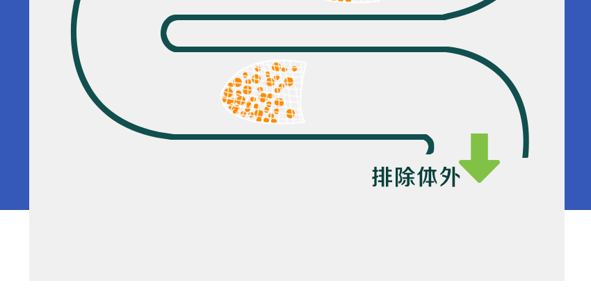 白芸豆膳食纤维水溶性小固体饮品绿条食品高