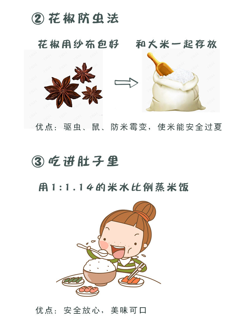 Rice Storage_02