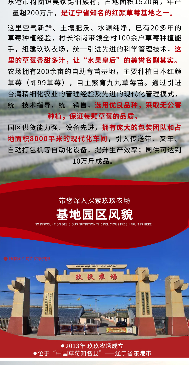 玖玖农场 丹东东港 99红颜奶油草莓 3斤 图9