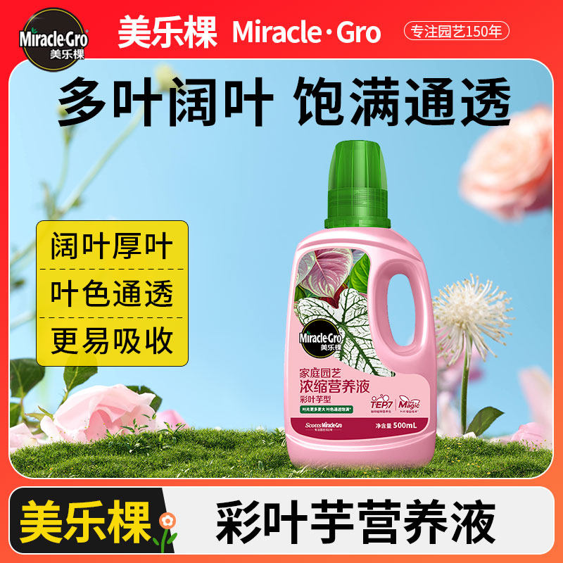 美乐棵彩叶芋专用营养液家庭园艺绿植盆栽专用水溶肥浓缩液体肥料