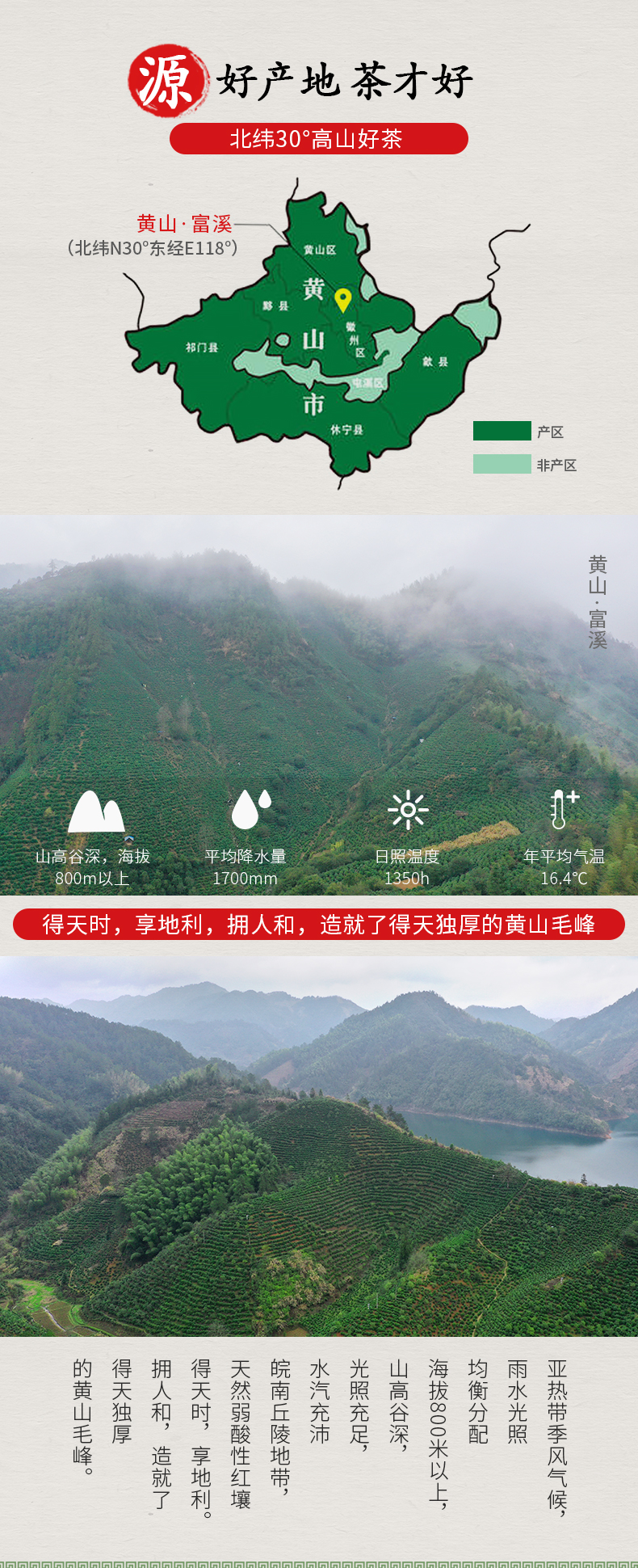 茗味园 雨前特级黄山毛峰 250g 图3