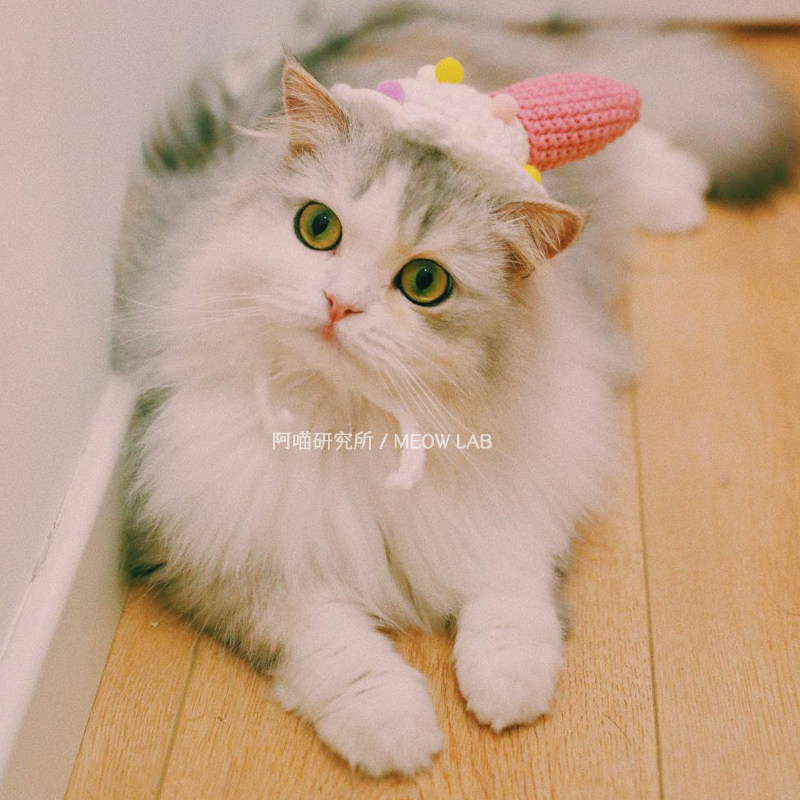 Ameow Institute Pet Sweet Drum Ice Cream Hat Pure Hand Woven Kitty Cute Hair Line Knit Accessories-Taobao