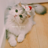 Милая шапка ручной работы, плетеный трикотажный шарф, аксессуар для волос