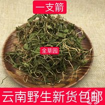 Yunnan wild arrow Chinese herbal medicine snake grass grass one arrow snake bite fruit green vine fresh dry goods 250g