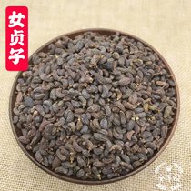 Yunnan Chinese herbal medicine Ligustrum Holly fruit Virgin tea wild new goods 500g