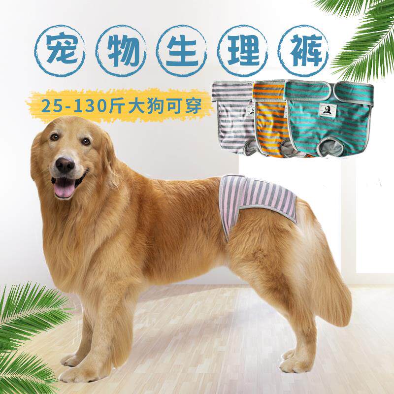 Mother Dog Prevents Pregnancy Pants Teddy Gold Mateen Menstrual Case Fake anti-mating theorizer Harassment Contraceptive Safety Underpants Female-Taobao