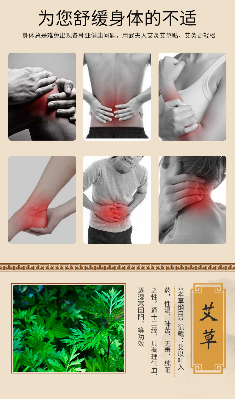 武夫人 颈肩腰腿热敷艾草贴 10贴 图3