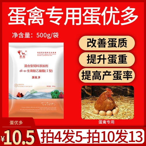 Яйца лучшие яйца, яйца, больше яиц, больше цыплят, уток и птицы, яиц перепелитов, увеличение яиц, увеличить количество яиц, чтобы расширить цикл производства яиц