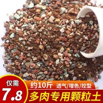 Fleshy special nutrient soil rainbow stone granular soil medium fleshy soil granular plant paving stone planting peat soil